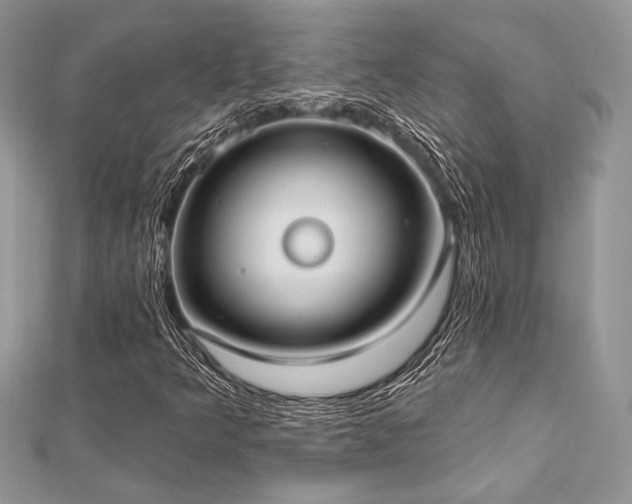 X0000112821349200908211157
