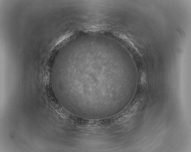 X0000112821350200908211157