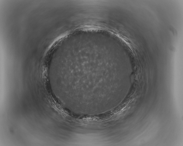 X0000112821351200908211157