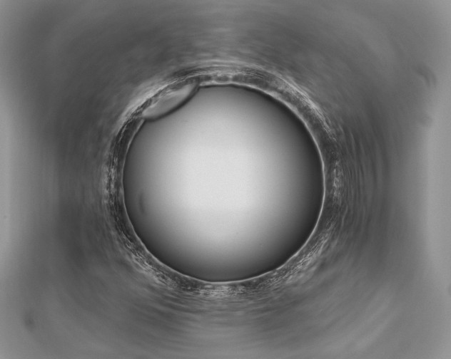 X0000112821352200908211157