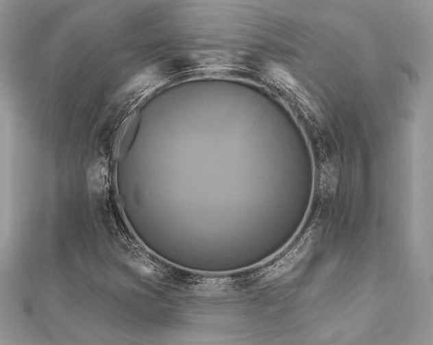 X0000112821353200908211157