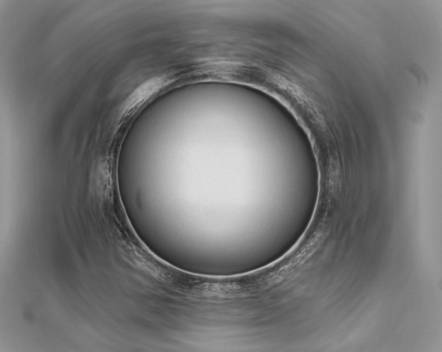 X0000112821354200908211157