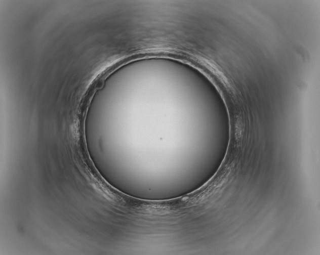X0000112821356200908211157