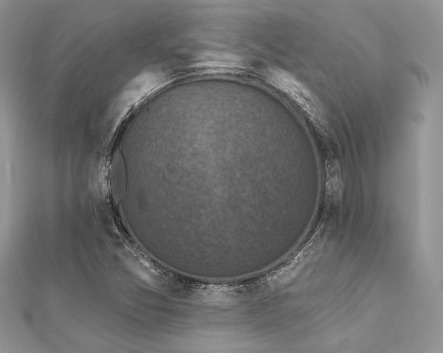 X0000112821357200908211157