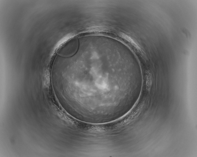 X0000112821358200908211157