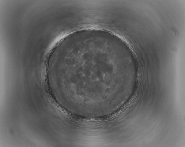 X0000112821359200908211157