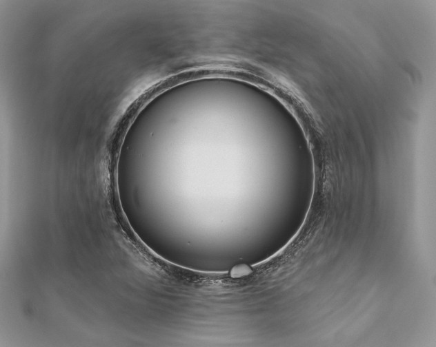 X0000112821360200908211157