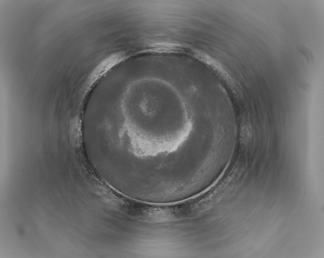 X0000112821362200908211157