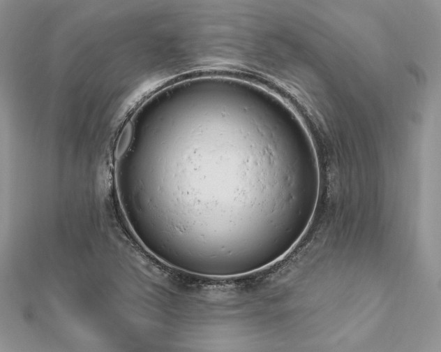 X0000112821363200908211157