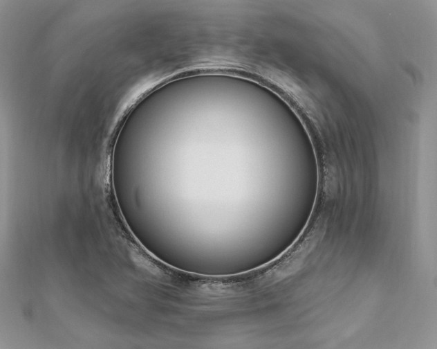 X0000112821366200908211157