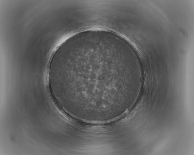 X0000112821367200908211157