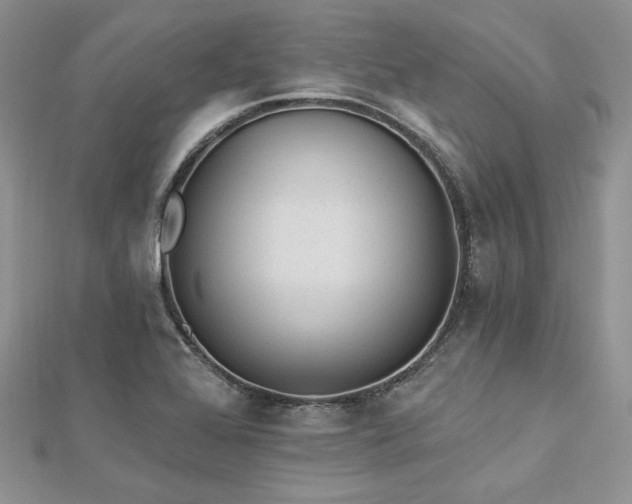 X0000112821368200908211157