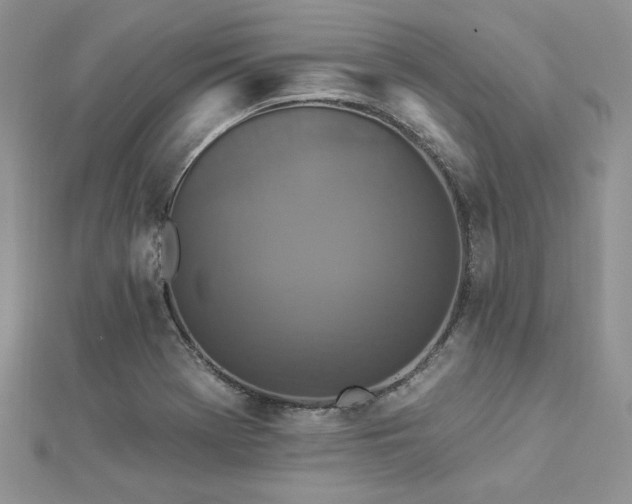 X0000112821369200908211157