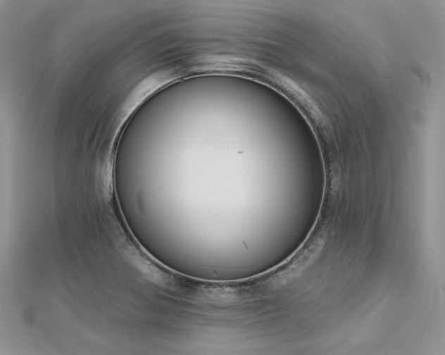 X0000112821370200908211157