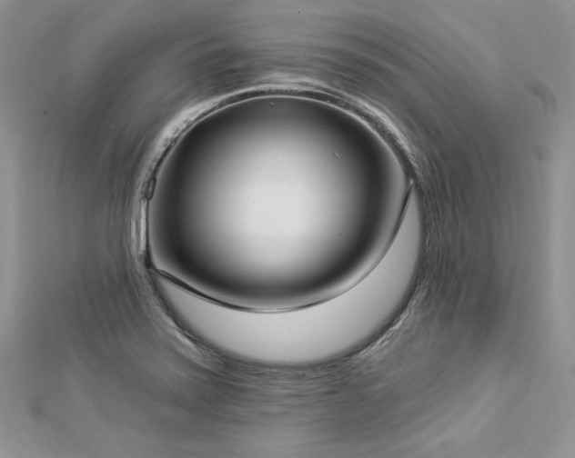 X0000112821371200908211157
