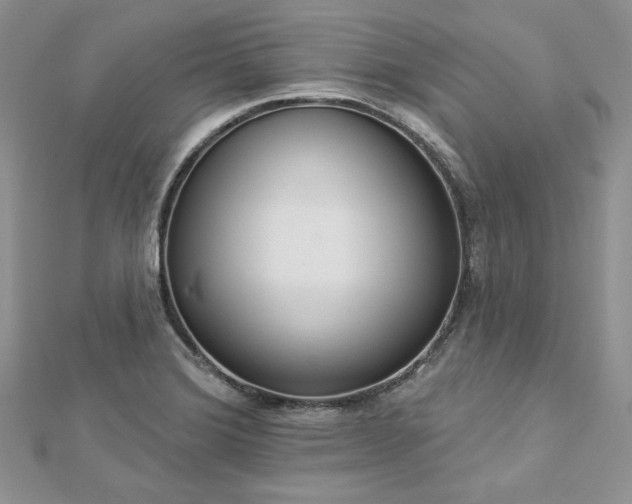 X0000112821372200908211157