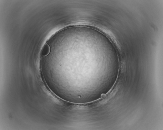X0000112821374200908211157