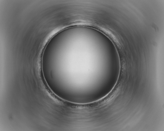 X0000112821375200908211157