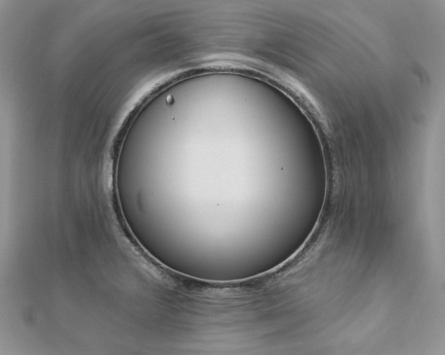 X0000112821376200908211157