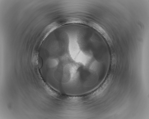 X0000112821377200908211157
