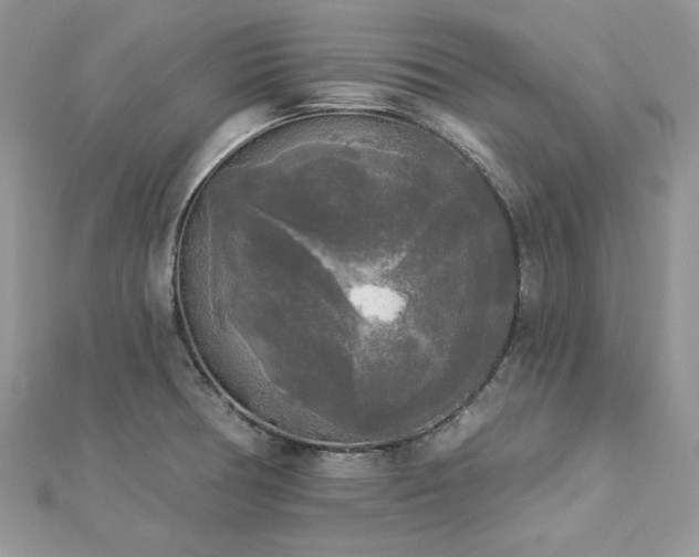 X0000112821378200908211157