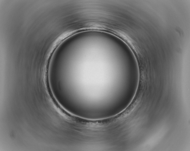 X0000112821379200908211157