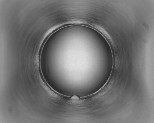 X0000112821380200908211156