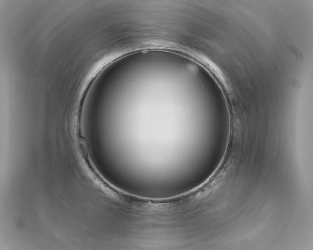 X0000112821381200908211156
