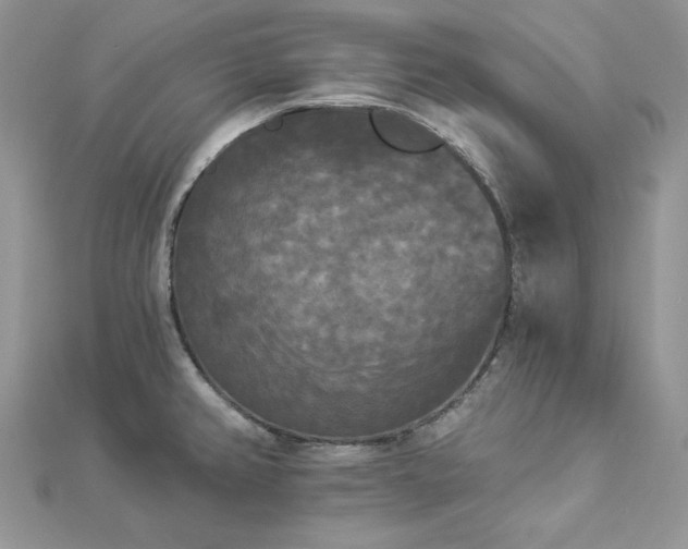 X0000112821382200908211156