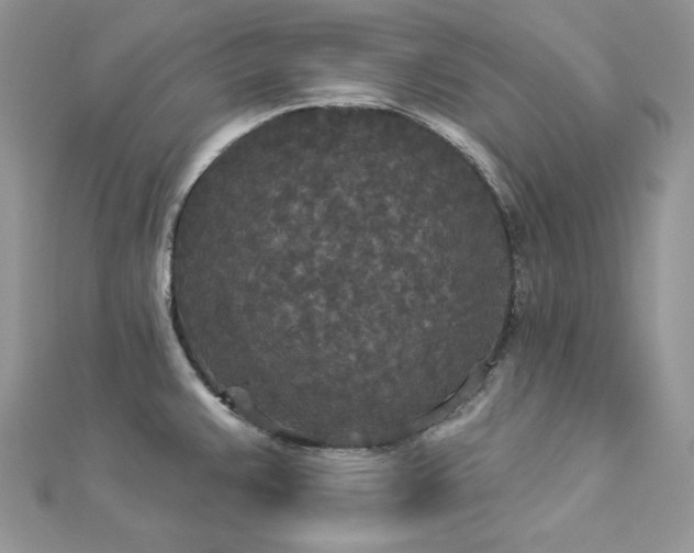 X0000112821383200908211156