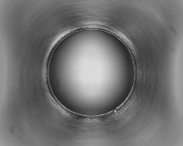 X0000112821384200908211156