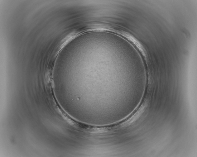 X0000112821385200908211156