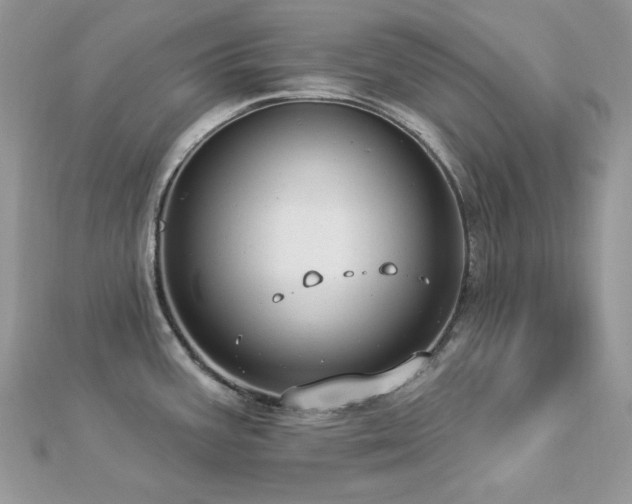 X0000112821387200908211156
