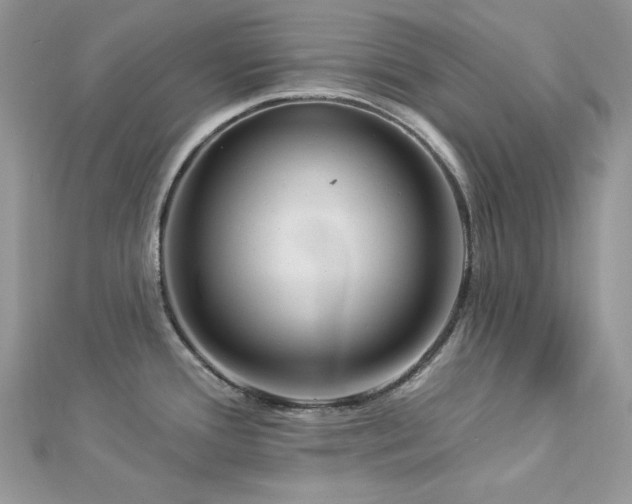 X0000112821388200908211156