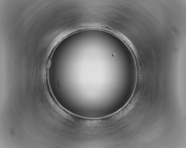 X0000112821389200908211156
