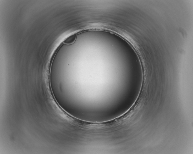 X0000112821392200908211156