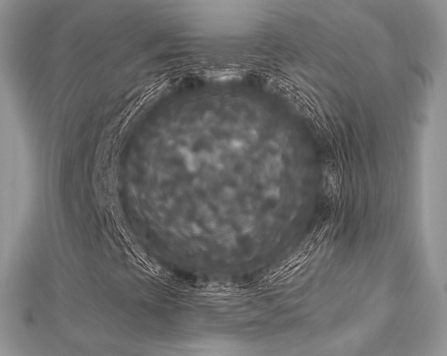 X0000112821393200908211156