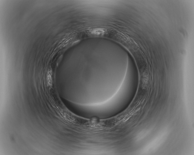 X0000112821394200908211156