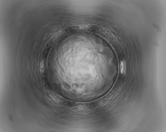 X0000112821395200908211156
