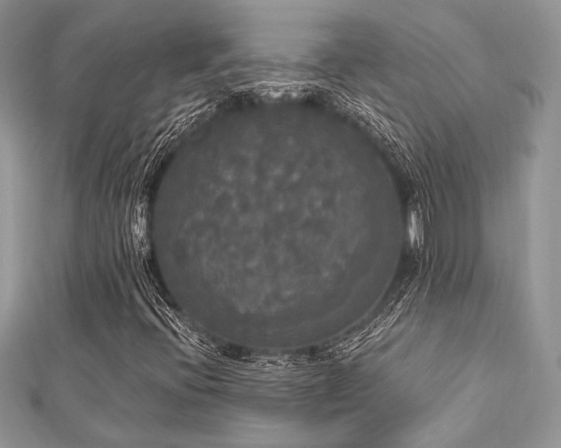 X0000112821396200908211156