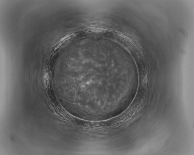 X0000112821397200908211156