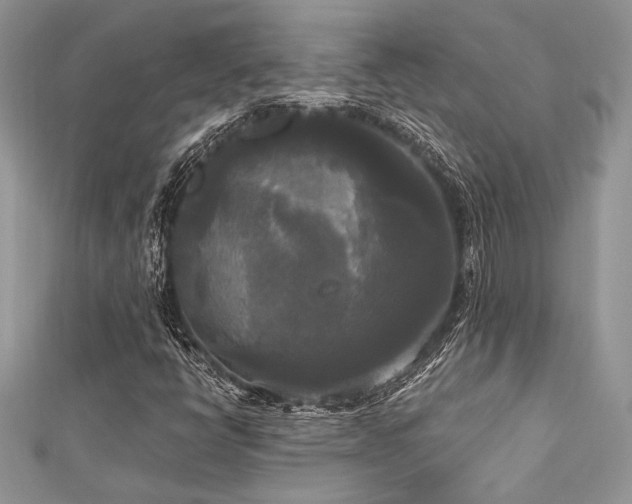 X0000112821398200908211156