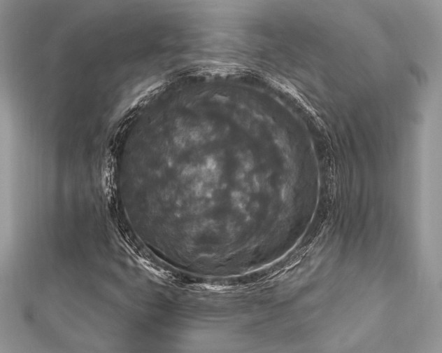 X0000112821399200908211156