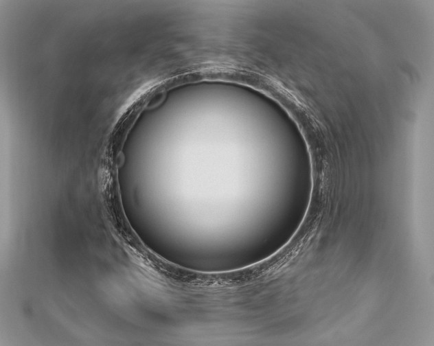X0000112821400200908211156