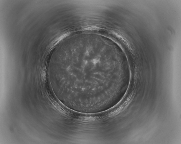 X0000112821401200908211156