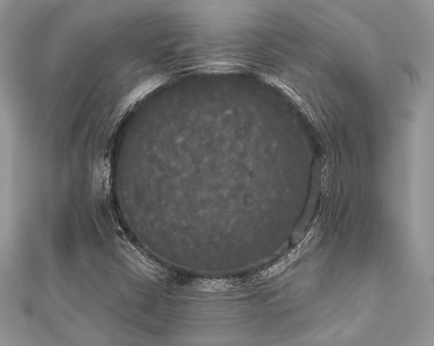 X0000112821402200908211156