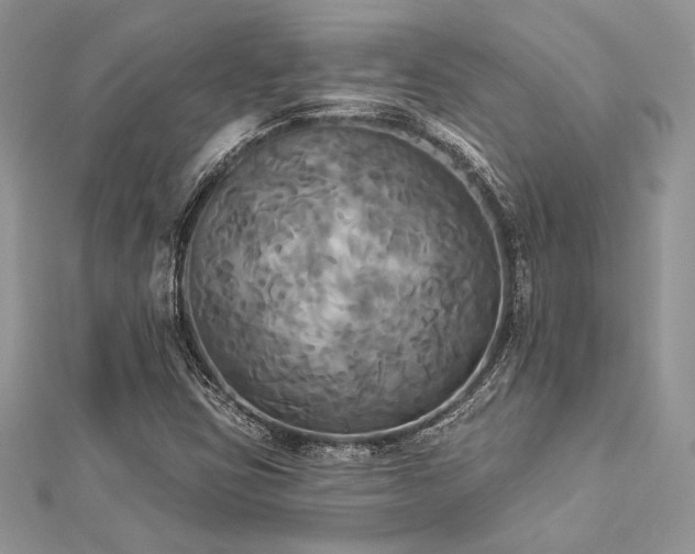 X0000112821403200908211156