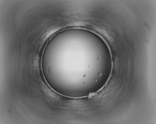 X0000112821404200908211156
