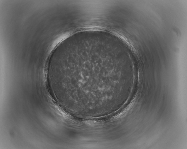 X0000112821405200908211156