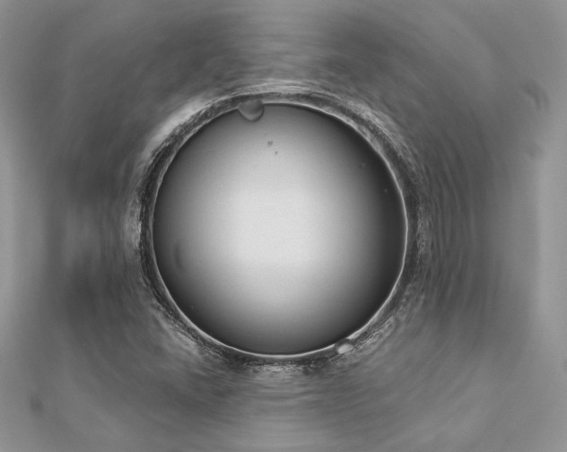 X0000112821406200908211156